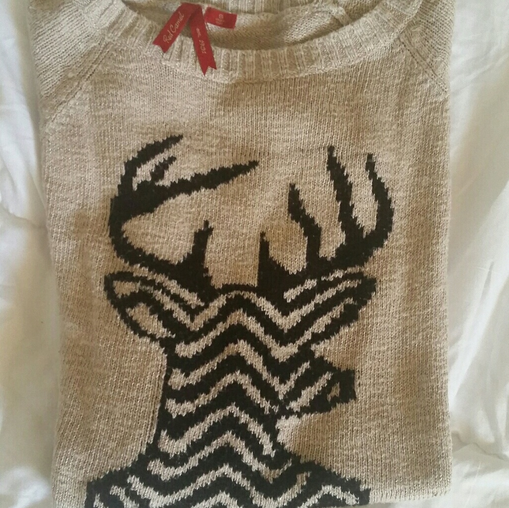 Red Camel cozy sweater